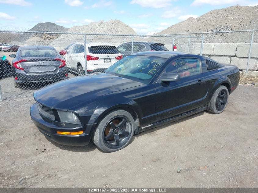 2005 Ford Mustang VIN: 1ZVFT80N055126815 Lot: 12301167