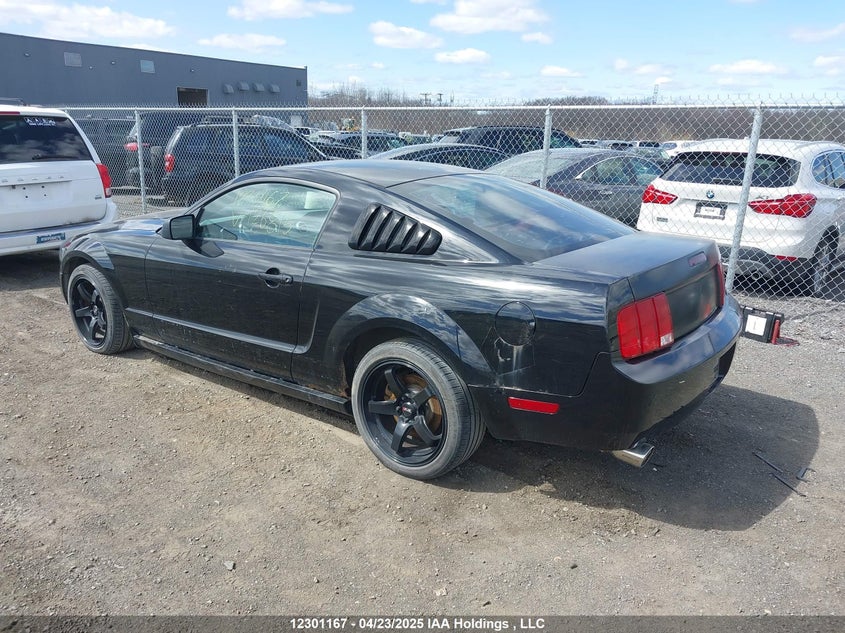 2005 Ford Mustang VIN: 1ZVFT80N055126815 Lot: 12301167