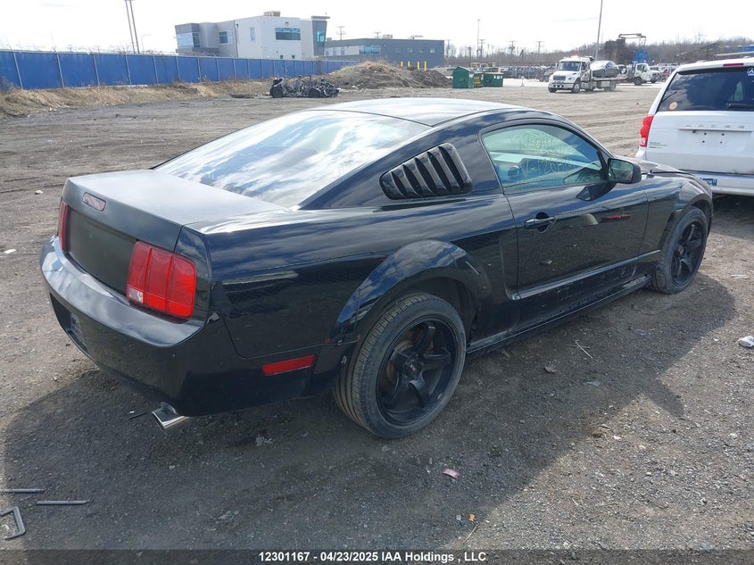 2005 Ford Mustang VIN: 1ZVFT80N055126815 Lot: 12301167