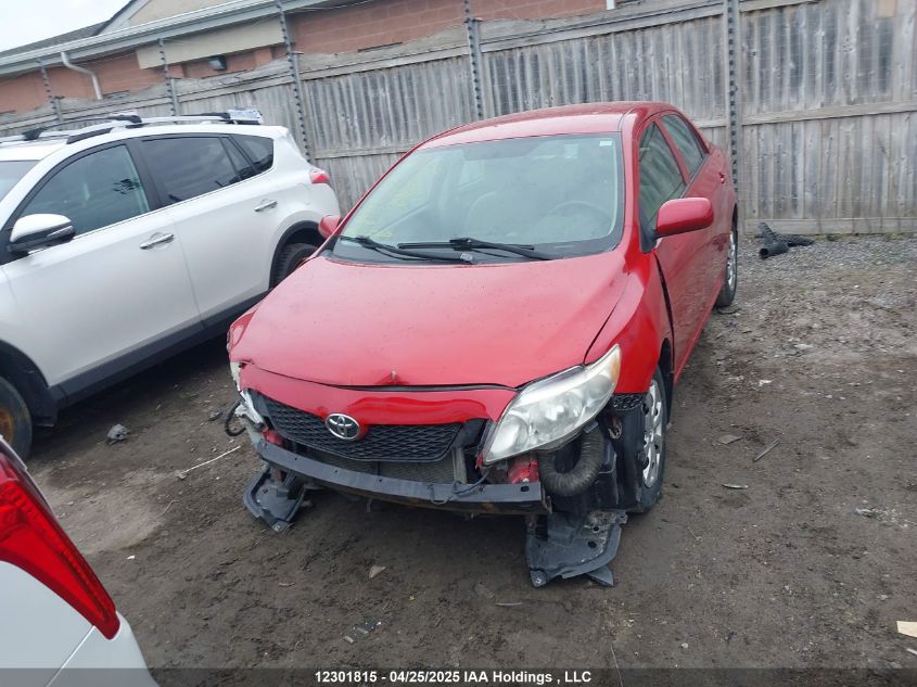 2010 Toyota Corolla Le VIN: 2T1BU4EE4AC262815 Lot: 12301815