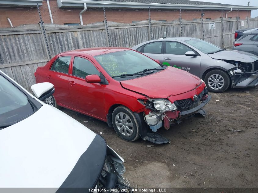 2010 Toyota Corolla Le VIN: 2T1BU4EE4AC262815 Lot: 12301815