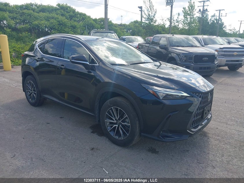 2022 LEXUS NX 450H+ | JTJHKCFZ8N2012443