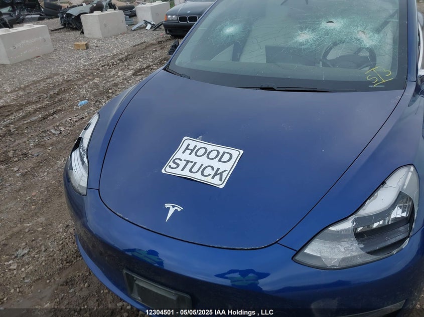 2020 Tesla Model 3 VIN: 5YJ3E1EA2LF604063 Lot: 12304501