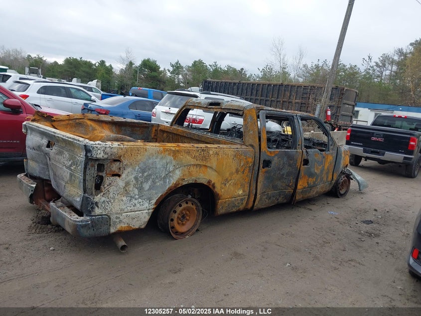 1FTFW1EFXDFC73767 2013 FORD F-150 photo no. 13