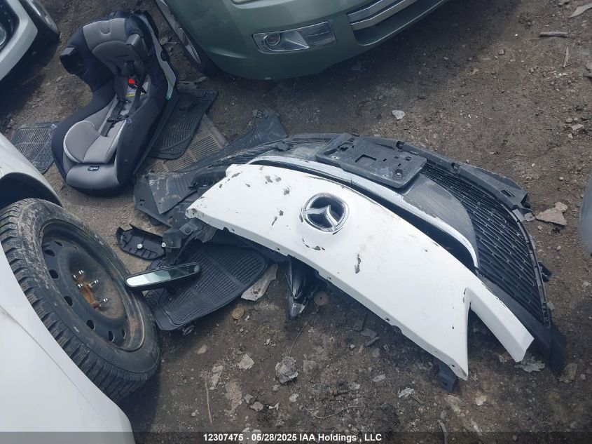 2010 Mazda Mazda3 Gs/Gx VIN: JM1BL1SF5A1184581 Lot: 12307475