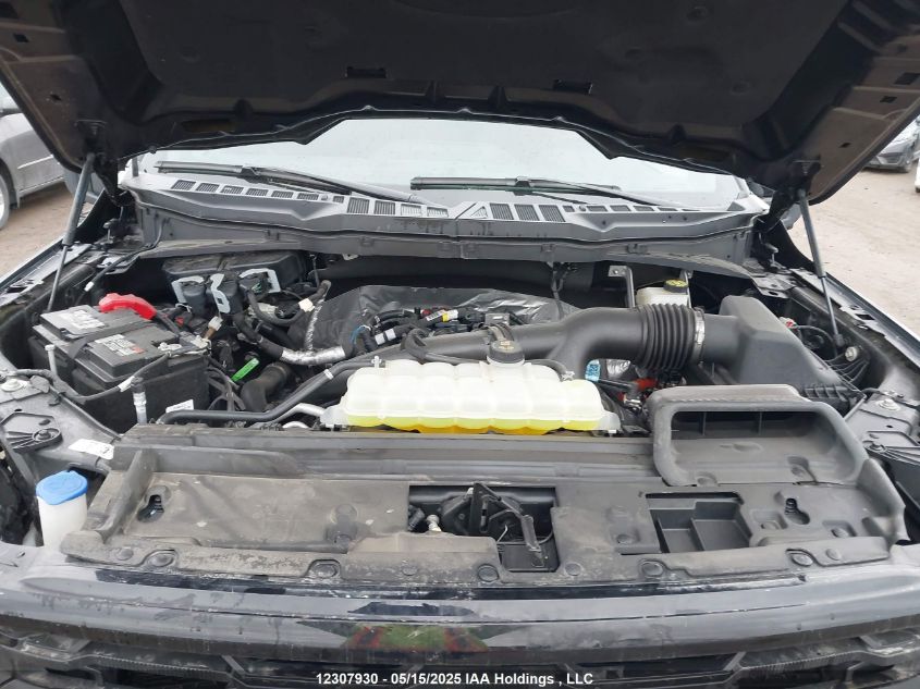 2024 Ford F150 Xlt VIN: 1FTEW3LP5RKE95781 Lot: 12307930