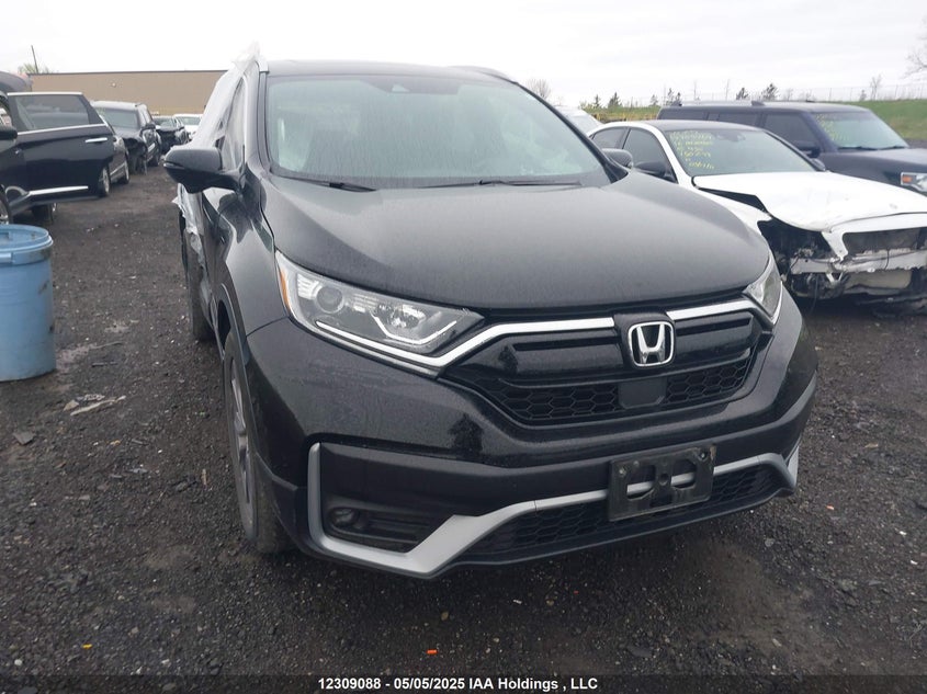 2HKRW2H46NH221721 2022 Honda Cr-V Sport auction photo 1
