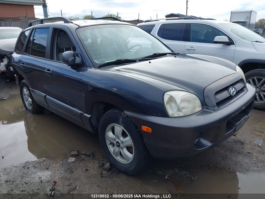 KM8SB13D66U064273 2006 Hyundai Santa Fe Gls/Limited auction photo 1