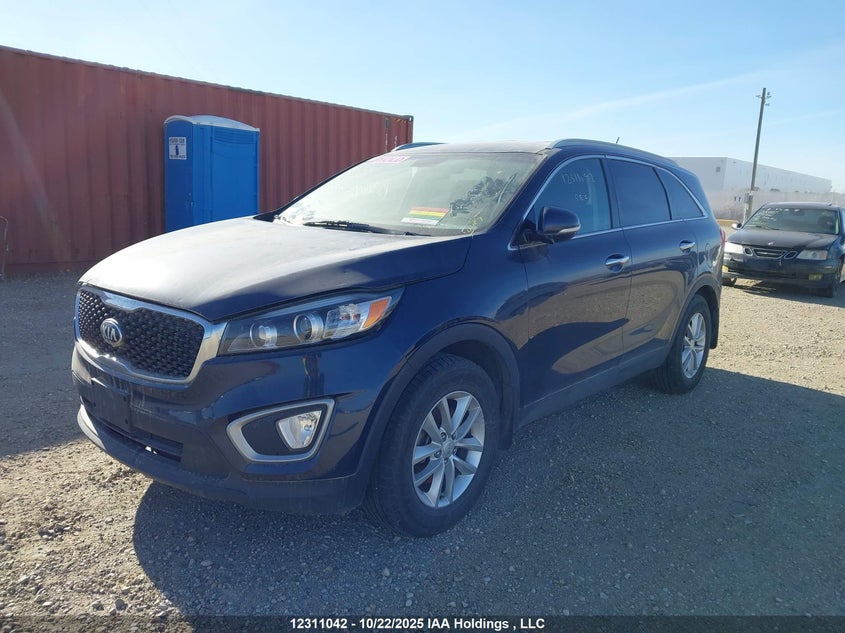 2016 Kia Sorento Lx/L blue null null 5XYPG4A38GG172341 photo #3