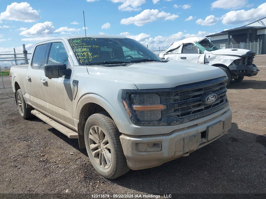 1FTFW3L80RFB30236 2024 Ford F-150 Xlt auction photo 1