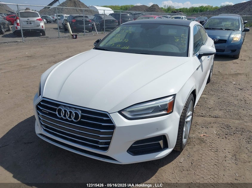 2019 Audi A5 Sportback VIN: WAUANCF55KA040577 Lot: 12315426