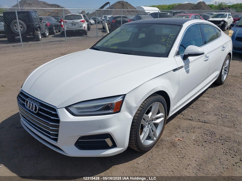 2019 Audi A5 Sportback VIN: WAUANCF55KA040577 Lot: 12315426