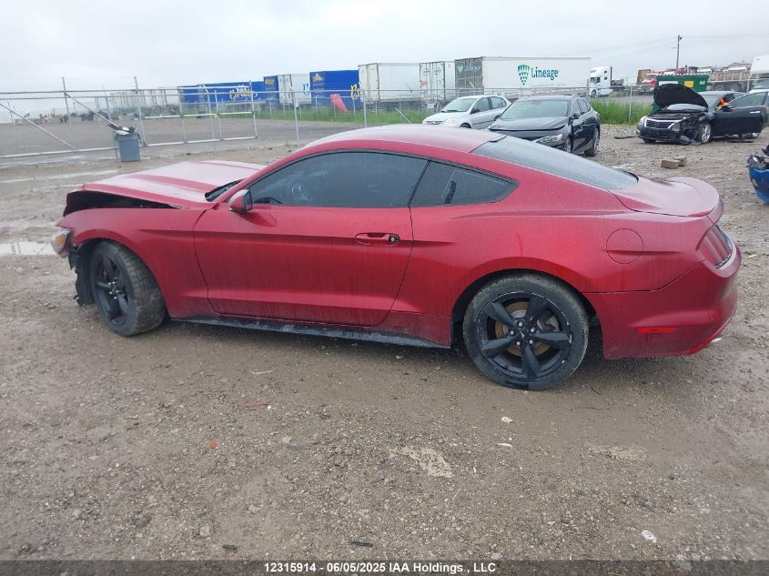 2015 Ford Mustang V6 VIN: 1FA6P8AM9F5363968 Lot: 12315914