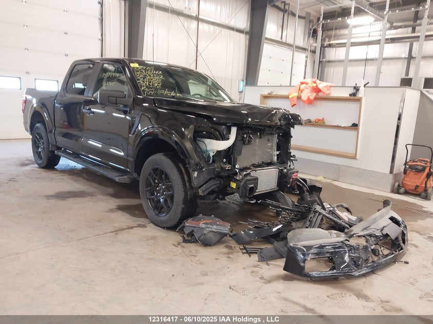 1FTEW2LP9RKE33312 2024 Ford F150 Stx auction photo 1