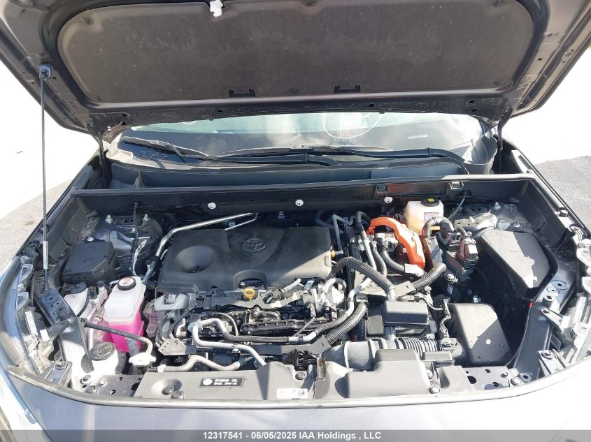 2023 Toyota Rav4 Xle/Woodland Edition VIN: 2T3RWRFV9PW169775 Lot: 12317541