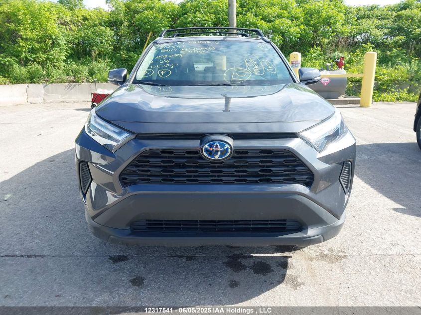 2023 Toyota Rav4 Xle/Woodland Edition VIN: 2T3RWRFV9PW169775 Lot: 12317541