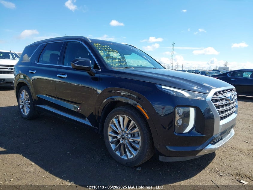 2020 Hyundai Palisade Ultimate VIN: KM8R5DHE6LU058655 Lot: 12318113