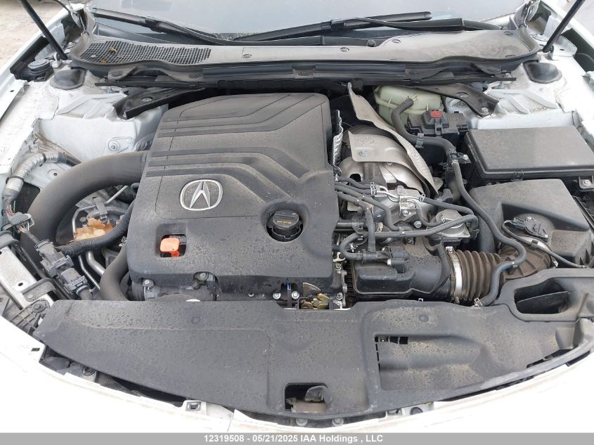 2022 Acura Tlx VIN: 19UUB7F09NA800178 Lot: 12319508