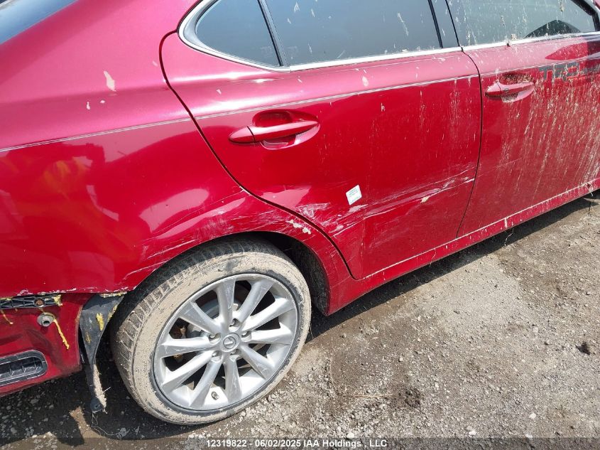 2007 Lexus Is 250 VIN: JTHCK262575008960 Lot: 12319822