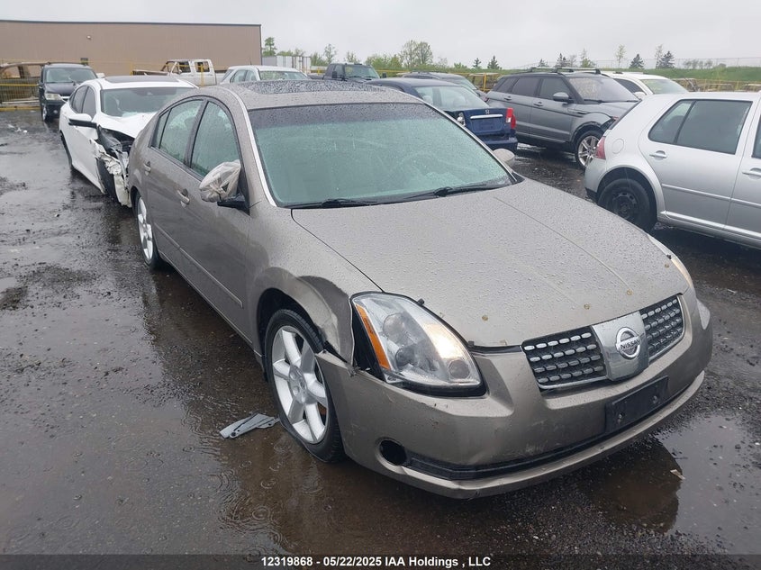1N4BA41E14C849264 2004 Nissan Maxima Se/Sl auction photo 1