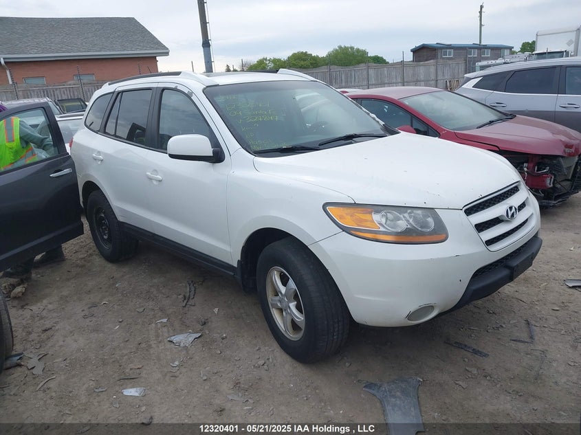 5NMSG13E59H327847 2009 Hyundai Santa Fe auction photo 1