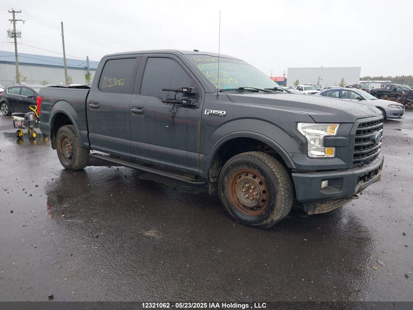 1FTEW1EF1GFD43897 2016 Ford F150 Supercrew auction photo 1