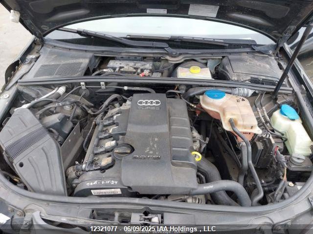 2008 Audi A4 2.0T/2.0T Special Edition VIN: WAUDF78E98A146179 Lot: 12321077