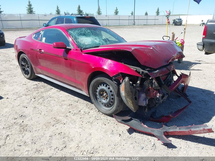 2016 Ford Mustang VIN: 1FA6P8TH8G5305643 Lot: 12322986