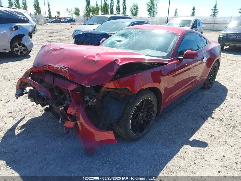 2016 Ford Mustang VIN: 1FA6P8TH8G5305643 Lot: 12322986
