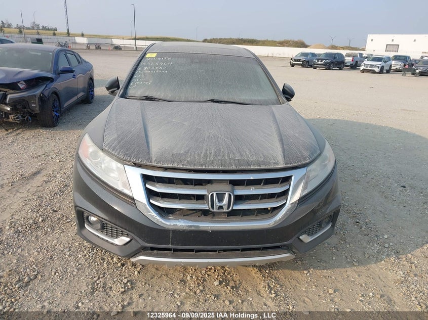 2013 Honda Crosstour Exl VIN: 5J6TF2H55DL800282 Lot: 12325964