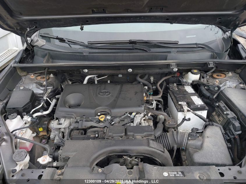 2021 Toyota Rav4 Xle VIN: 2T3R1RFV4MC231921 Lot: 12300109X