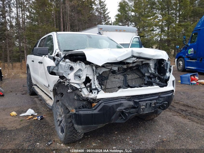 2021 GMC Sierra 1500 VIN: 1GTU9AEFXMZ238546 Lot: 12305400X