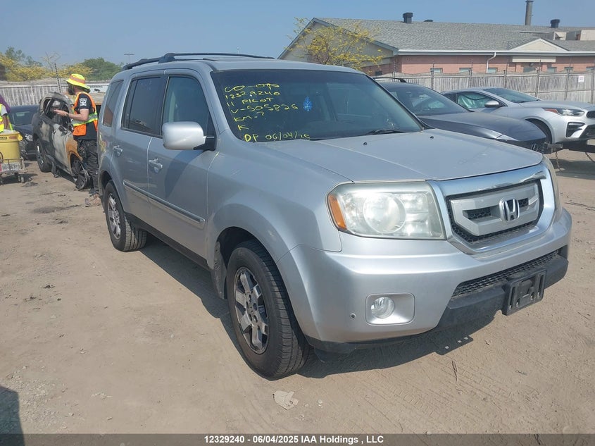 5FNYF4H99BB505826 2011 Honda Pilot Touring auction photo 1