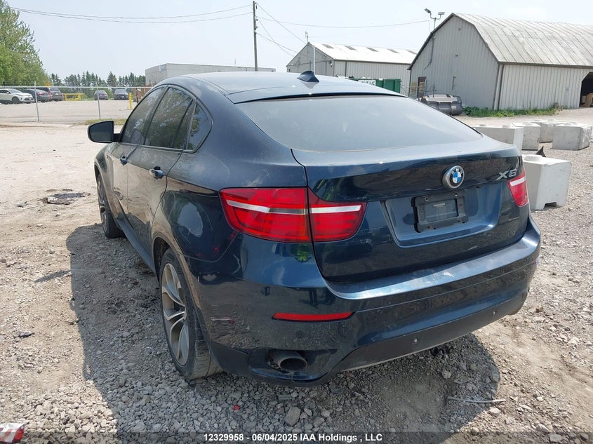 2014 BMW X6 xDrive35I VIN: 5UXFG2C57E0H11390 Lot: 12329958
