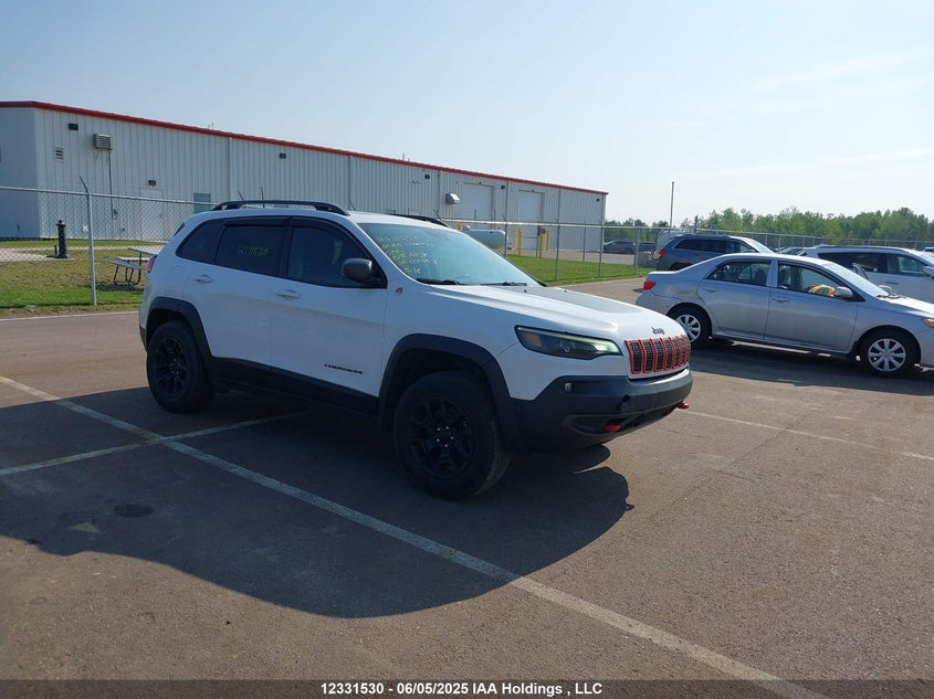 1C4PJMBXXLD656703 2020 Jeep Cherokee Trailhawk auction photo 1