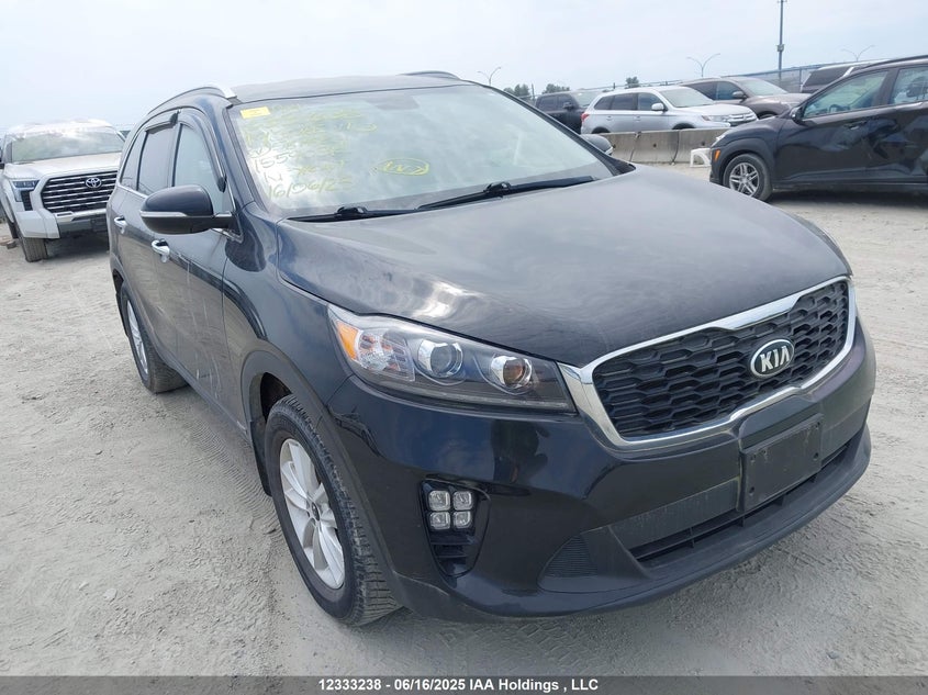 5XYPGDA39KG587824 2019 Kia Sorento auction photo 1
