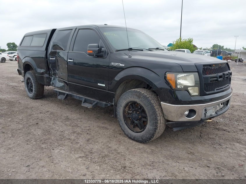 1FTFW1ET9DKF44427 2013 Ford F-150 Xlt auction photo 1