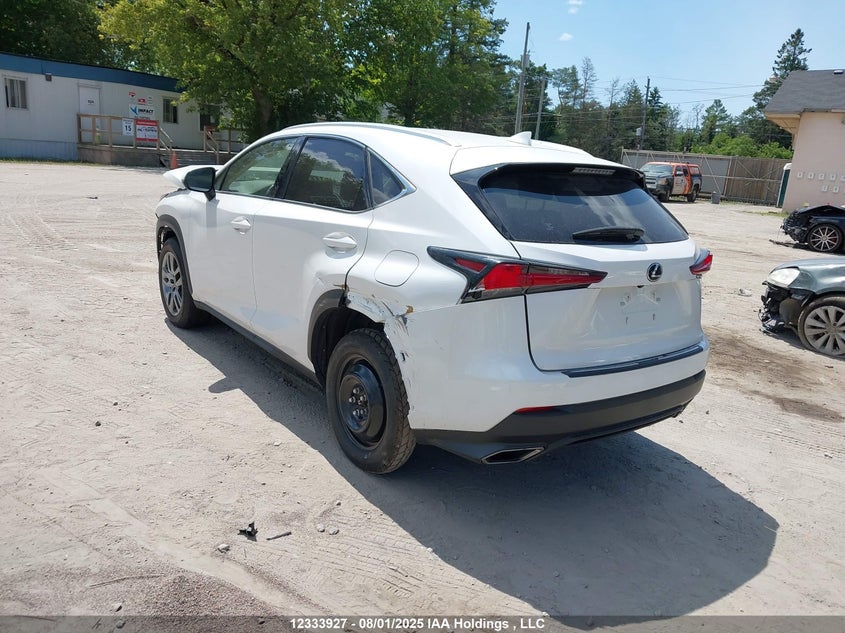 JTJGARDZ8M5032046 2021 LEXUS NX photo no. 3