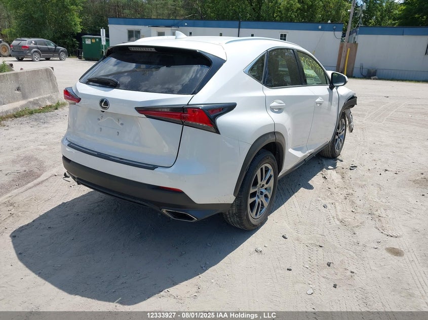 JTJGARDZ8M5032046 2021 LEXUS NX photo no. 4