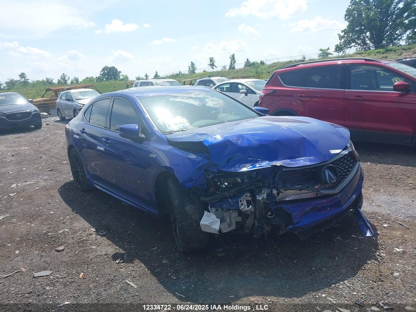 19UUB3F69KA801663 2019 Acura Tlx auction photo 1