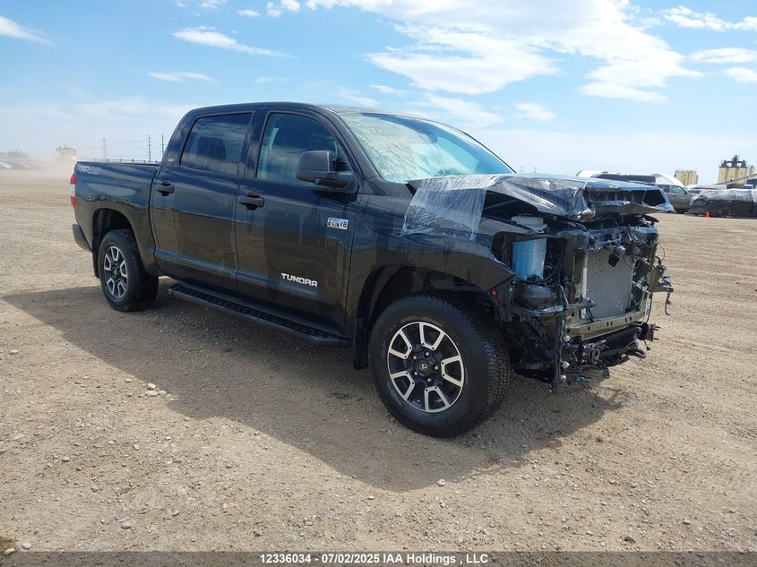 5TFDY5F11LX902773 2020 Toyota Tundra Crewmax Sr5/Crewmax Trd Pro auction photo 1
