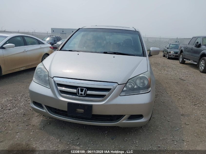 2007 Honda Odyssey Exl VIN: 5FNRL38667B440566 Lot: 12336189