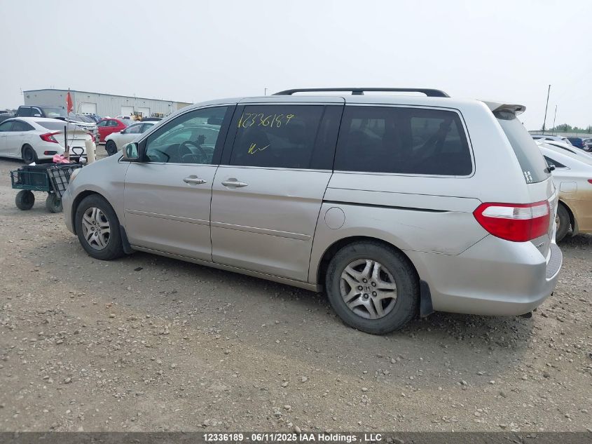 2007 Honda Odyssey Exl VIN: 5FNRL38667B440566 Lot: 12336189