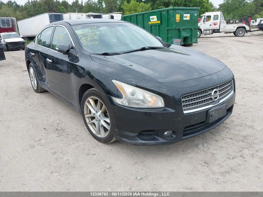 1N4AA5AP9AC827706 2010 Nissan Maxima S/Sv auction photo 1