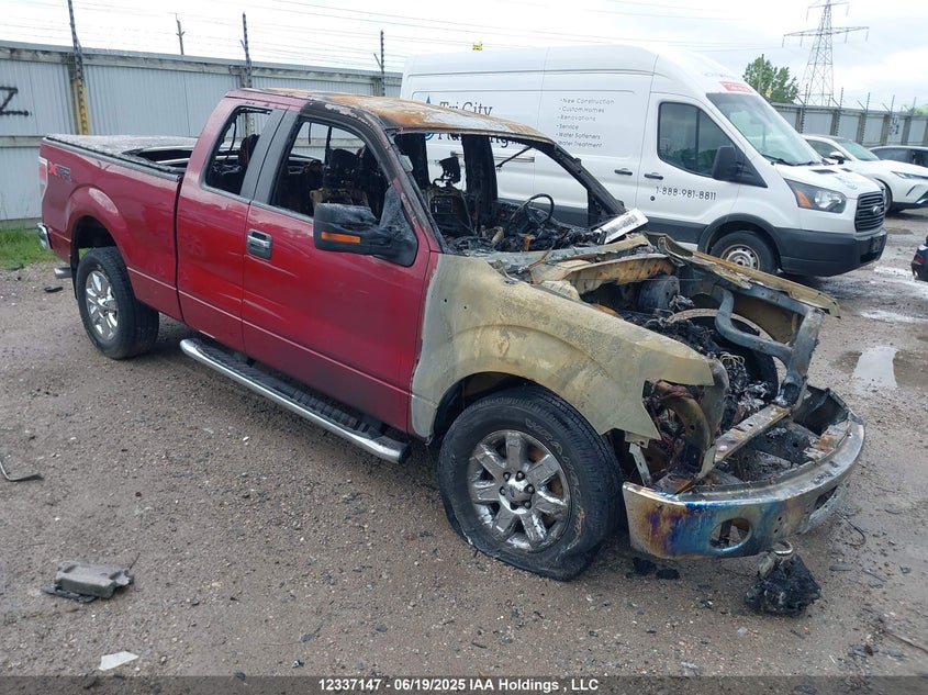 1FTFX1EFXDFD86664 2013 Ford F150 Super Cab auction photo 1