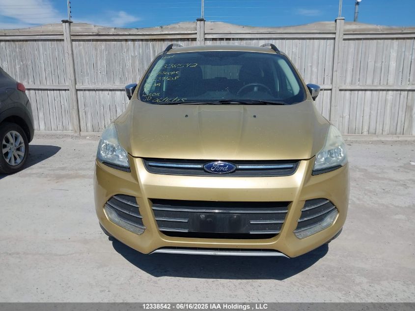 2014 Ford Escape Se VIN: 1FMCU9GX6EUC39508 Lot: 12338542