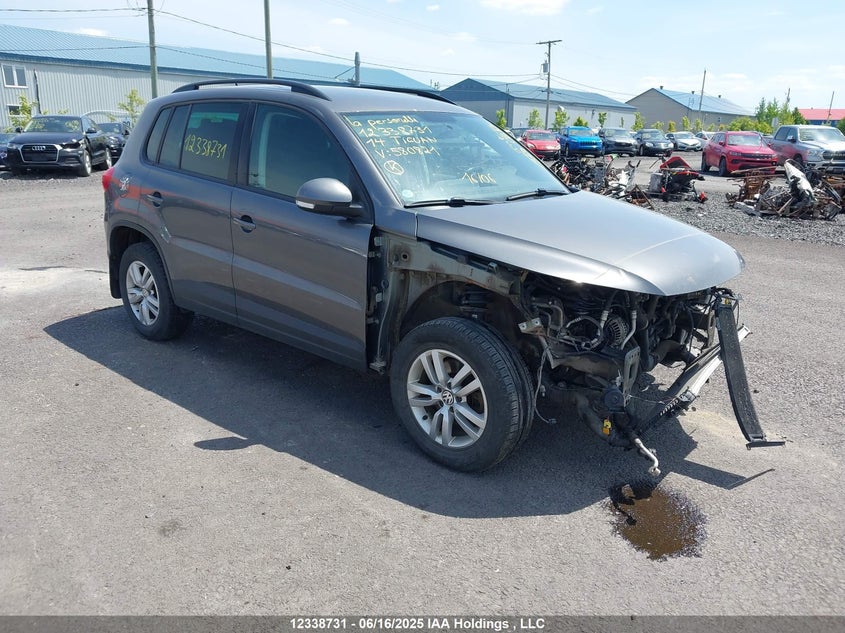 WVGJV3AX7EW580821 2014 Volkswagen Tiguan S/Se/Sel/R-Line auction photo 1
