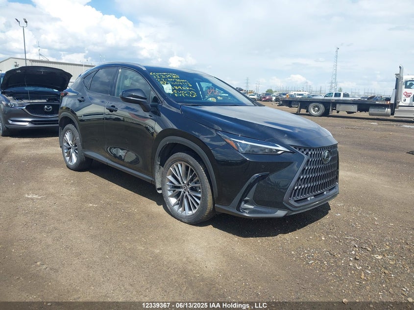 2T2GKCEZ6NC004113 2022 Lexus Nx 350H 350H auction photo 1