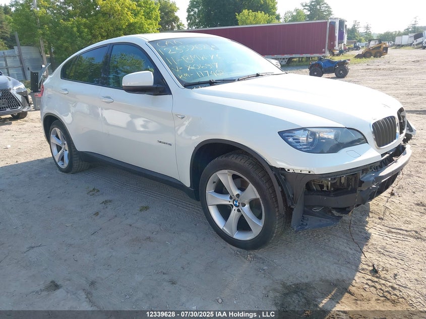 2011 BMW X6 xDrive35I VIN: 5UXFG2C58BLX06917 Lot: 12339628