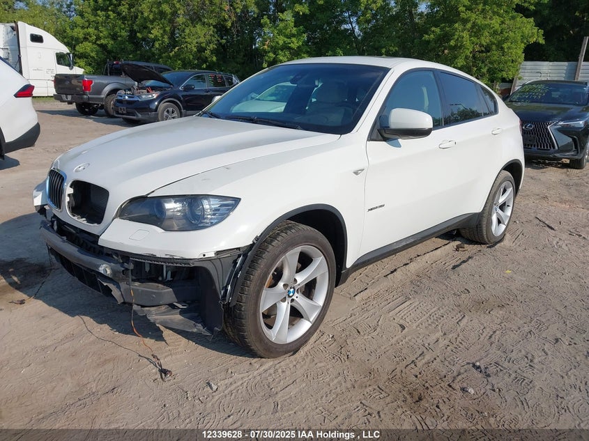2011 BMW X6 xDrive35I VIN: 5UXFG2C58BLX06917 Lot: 12339628